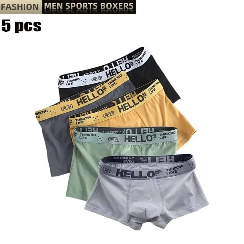 5Pcs Mens Underwear Male Boxers Sexy Underpants Comfortable Breathable  Fashion Boys Panties Underwear Boxershorts Men – Sheizon
